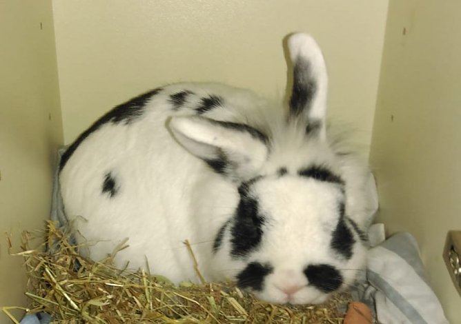 Gefunden (Foto: privat)