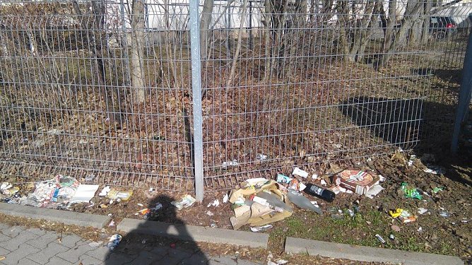 Trennlinie (Foto: Argusauge)