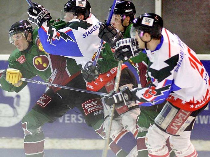 Rudelbildung (Foto: rk)