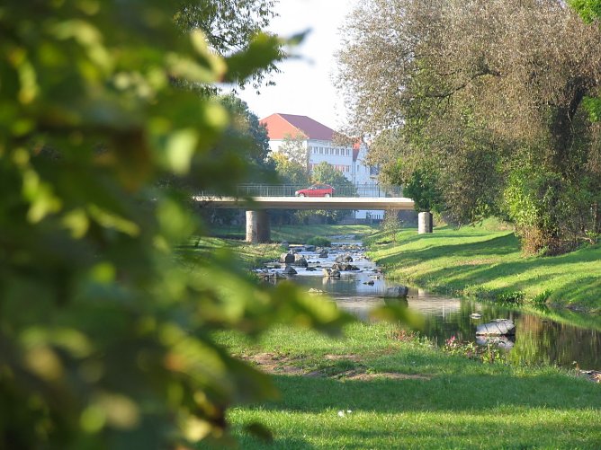 Die Zorgeauen sollen sauber werden (Foto: Pressestelle Stadt Nordhausen)