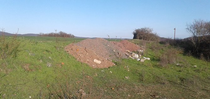 Die in der N&auml;he des Singerberggipfels im Naturschutzgebiet Alter Stolberg an einem Wegrand illegal abgekippten Erdhaufen beg&uuml;nstigen u.a. die weitere Ausbreitung des dort bereits siedelnden invasiven Neophyten Orientalische Zackenschote (Bunia orientalis). Dieser stellt zus&auml;tzlich zu den schon bestehenden Beeintr&auml;chtigungen einen weiteren negativen Einflussfaktor dar. (Foto: Bodo Schwarzberg)