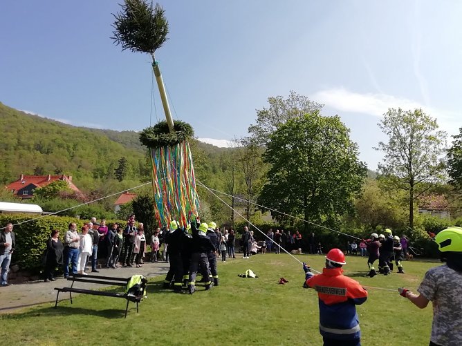 Maibaum in Ilfeld gesetzt (Foto: Wolfgang J&ouml;rgens)