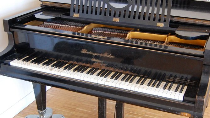 Es geht um dieses Instrument (Foto: R. Englert)