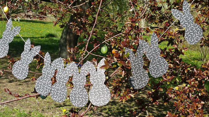 Balu und Ich - Osterprojekt an der Hochschule (Foto: Melano Dadalauri)