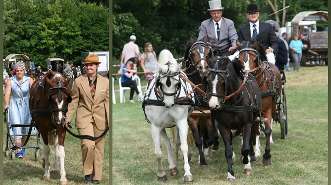 Ponyschau in W&uuml;lfingerode (Foto: privat)
