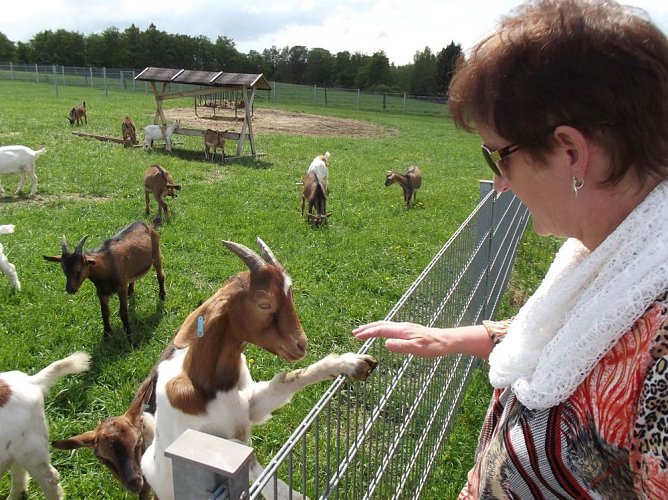 WB4 besuchte Sophienhof und die Ziegenalm (Foto: Thomas Leipold)