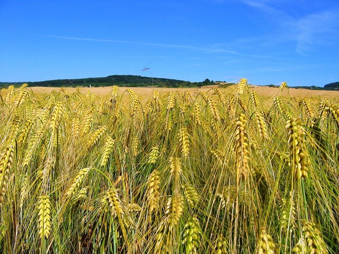 Das Biosph&auml;renreservat l&auml;dt zum 2. M&uuml;hlentag (Foto: Andreas Otto)