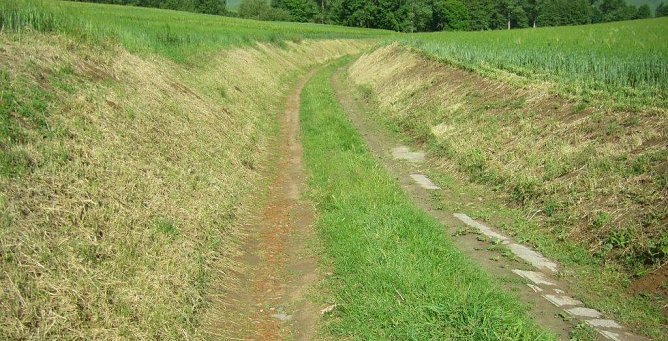 Ein Bild, wie es nicht sein sollte: Ausger&auml;umter Feldrain. (Foto: Wilhelm Roth)