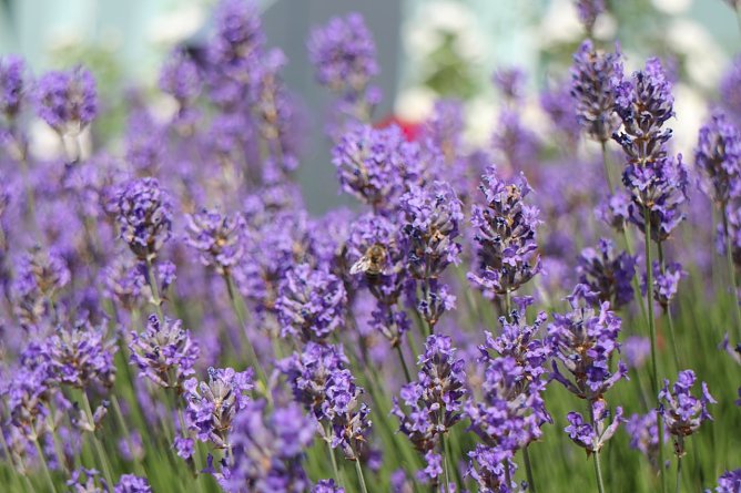 Wetterbild (Foto: Angelo Glashagel)