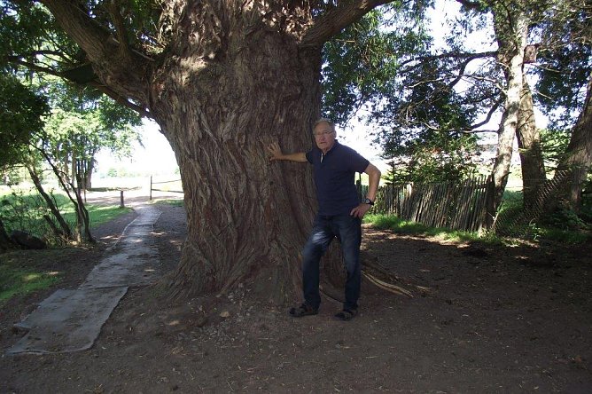 "Opa Henze" liebt seine Schwalben (Foto: Kurt Frank) "Opa Henze" liebt seine Schwalben (Foto: Kurt Frank)