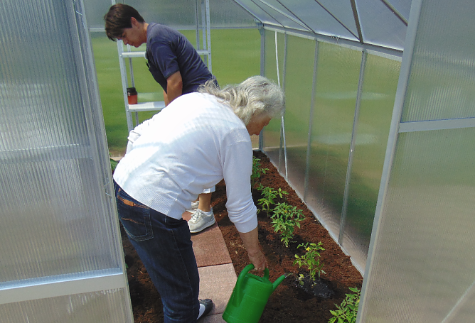 Arbeit im Gewächshaus (Foto: Danny Kais) Arbeit im Gewächshaus (Foto: Danny Kais)