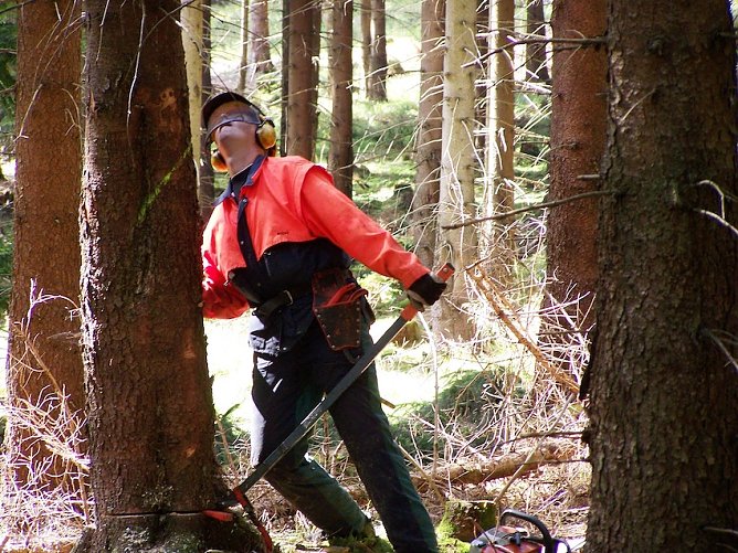 Forstarbeiter (Foto: Dr. Horst Sproßmann) Forstarbeiter (Foto: Dr. Horst Sproßmann)