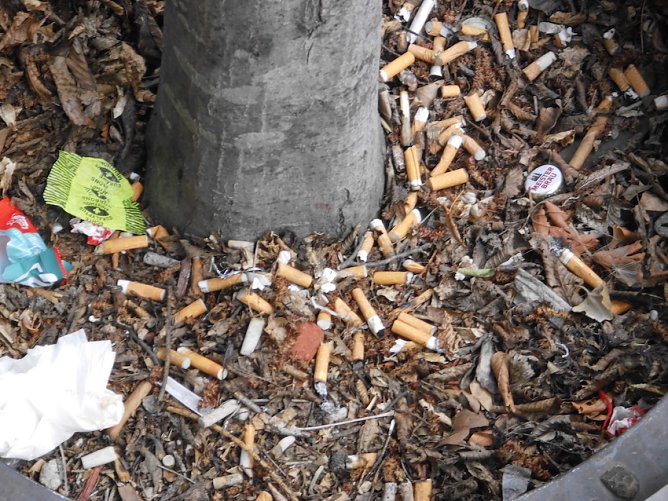 M&uuml;ll (Foto: Manfred Kappler)