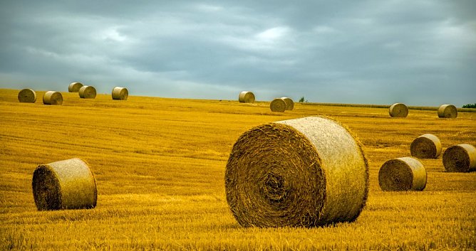 Wetterbild (Foto: Gernot Thelemann)