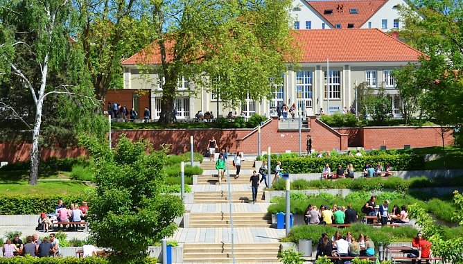 Inkubationsprojekt (Foto: Tina Bergknapp)