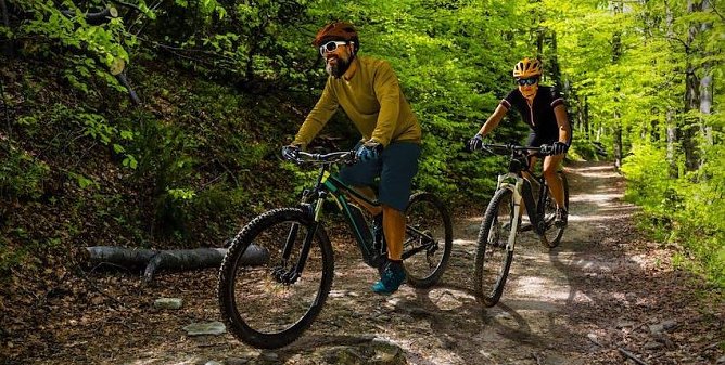 Sport im Wald (Foto: Th&uuml;ringenForst)