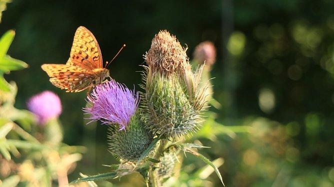 Wetterbild (Foto: Angelo Glashagel) Wetterbild (Foto: Angelo Glashagel)
