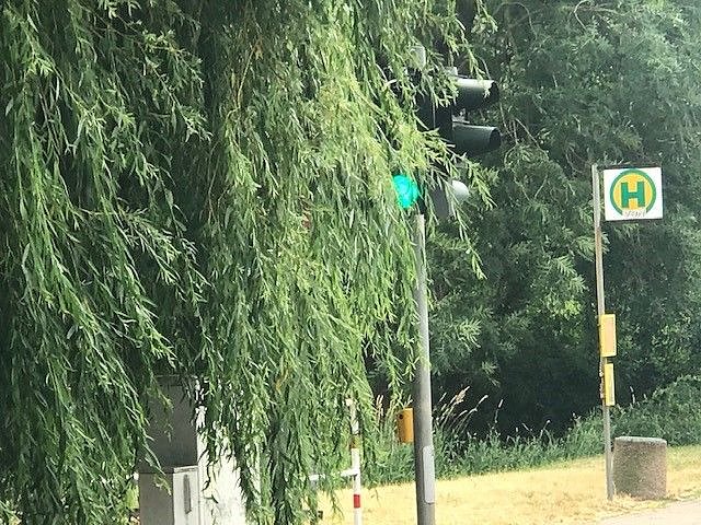 Ampel verdeckt (Foto: Stadtverwaltung Nordhausen)