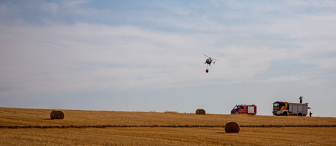 Einsatzkräfte bekämpfen den Feldbrand bei Ellrich (Foto: Adrian Müller) Einsatzkräfte bekämpfen den Feldbrand bei Ellrich (Foto: Adrian Müller)