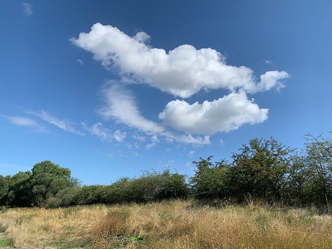 wetter (Foto: oas) wetter (Foto: oas)