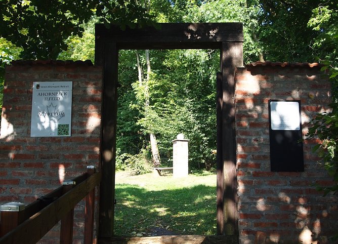 ahornpark (Foto: Dr. Judith Hesse) ahornpark (Foto: Dr. Judith Hesse)