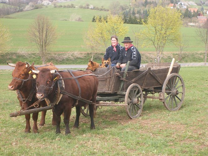 Eine Runde mit dem Leiterwagen (Foto: privat)