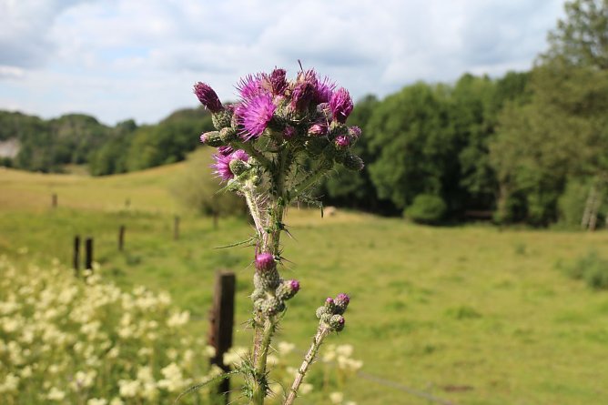 Wetterbild (Foto: Angelo Glashagel) Wetterbild (Foto: Angelo Glashagel)