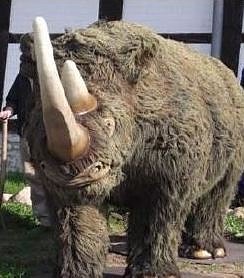 wllnashorn (Foto: Tim Schaefer)