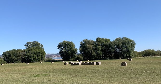 wetter (Foto: oas) wetter (Foto: oas)