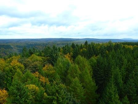 Blick vom Poppenbergturm (Foto: Naturpark Südharz) Blick vom Poppenbergturm (Foto: Naturpark Südharz)