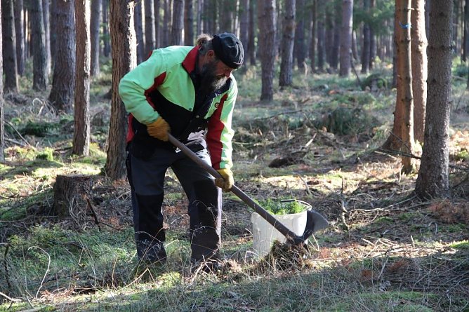 Das Grüne muss nach oben (Foto: Horst Sproßmann) Das Grüne muss nach oben (Foto: Horst Sproßmann)