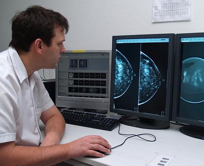 Dr. Malich bei der Auswertung von Daten (Foto: shk)