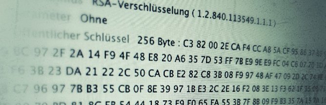 Zertifikat (Foto: VGF)