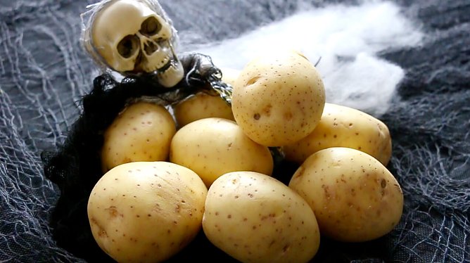 halloween (Foto: Kartoffel-Marketing GmbH) halloween (Foto: Kartoffel-Marketing GmbH)