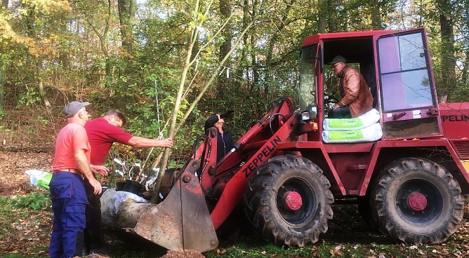 ahornpark (Foto: Dr. Judith Hesse) ahornpark (Foto: Dr. Judith Hesse)