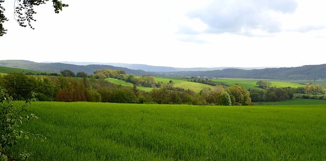 swaldsch&auml;nke (Foto: Bettina Bauersch&auml;fer)