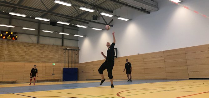 faustball (Foto: LV Altstadt) faustball (Foto: LV Altstadt)