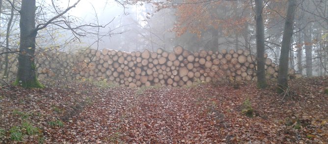Wanderweg (Foto: Bodo Schwarzberg)