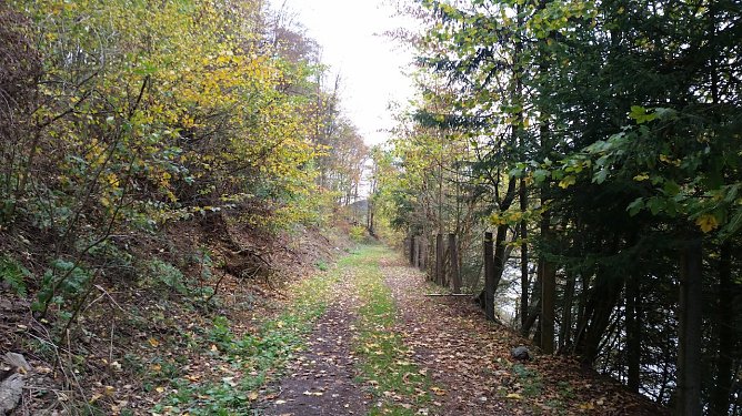 Naturpark S&uuml;dharz (Foto: Doris Berberich)