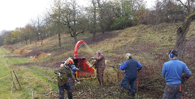 Wtreuobstwiese Ellrich (Foto: Anja Apel)