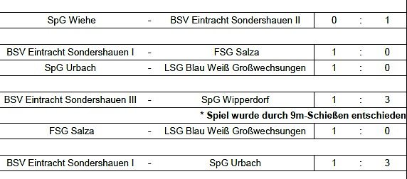 Endstand Kreismeisterschaft im Hallenfu&szlig;ball der Junioren (3) (Foto: NTKFA)