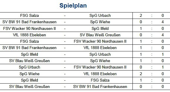 Endstand Kreismeisterschaft im Hallenfu&szlig;ball der Junioren (4) (Foto: NTKFA)