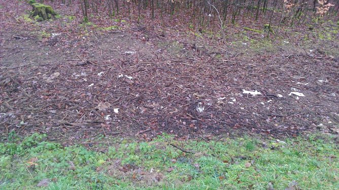 Geschredderte Leitpfosten am Straßenrand (Foto: privat) Geschredderte Leitpfosten am Straßenrand (Foto: privat)