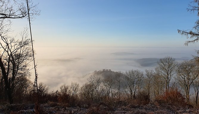 Wetterfahne (Foto: H.Wrede)