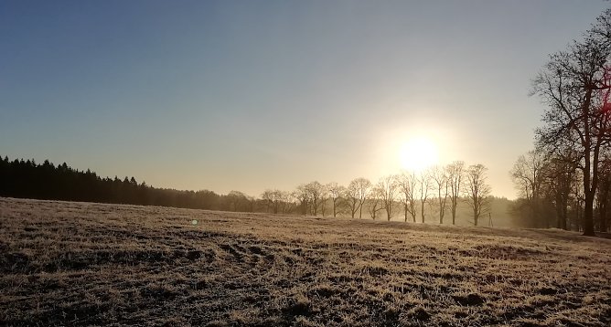 Neujahrsstimmung (Foto: W.J&ouml;rgens)