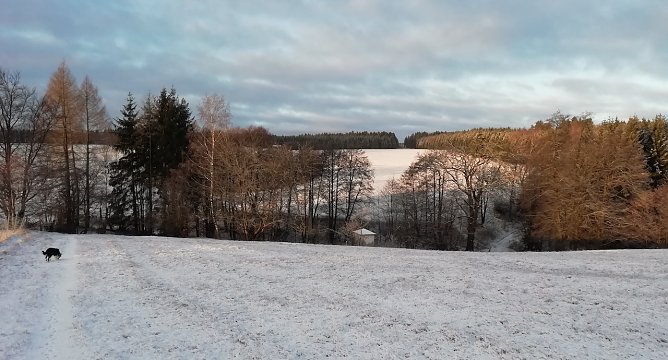 sophienhof (Foto: W.J&ouml;rgens)