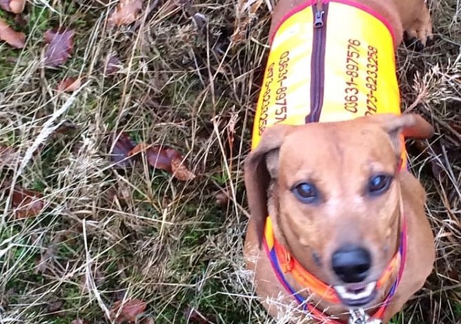 Eddy (Foto: S.Dietzel) Eddy (Foto: S.Dietzel)