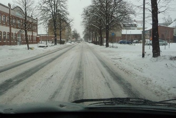 Hund (Foto: nnz) Hund (Foto: nnz)