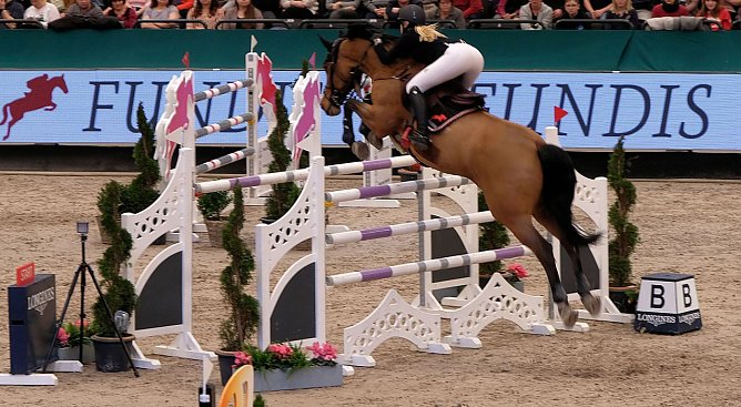 Peter Blei auf der "Partner Pferd" in Leipzig (Foto: Peter Blei) Peter Blei auf der "Partner Pferd" in Leipzig (Foto: Peter Blei)