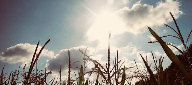 Wetterbild (Foto: Angelo Glashagel) Wetterbild (Foto: Angelo Glashagel)